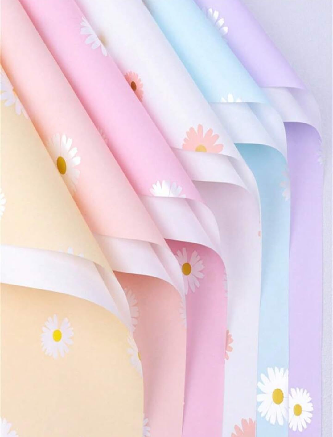 SAANS Premium Gift Wrap